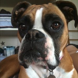 Meet your Posher, Meghan