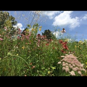 Meet your Posher, Toby