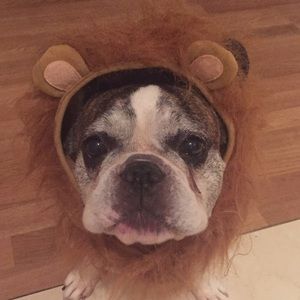 Meet your Posher, Radita's