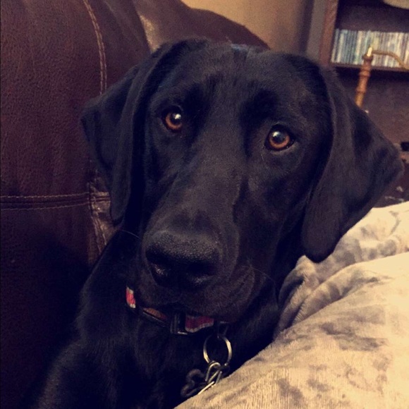 Meet your Posher, Hannah - Picture 1 of 1