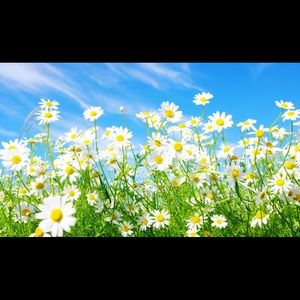 Meet your Posher, Nina