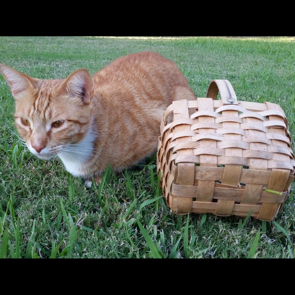 "Let's POSH Lounge Together" Eco Eka 🔋☀️♻️ - Picture 7 of 9