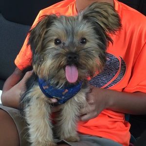 Meet your Posher, Angelica