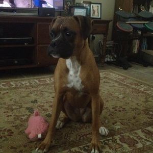 Meet your Posher, Faith