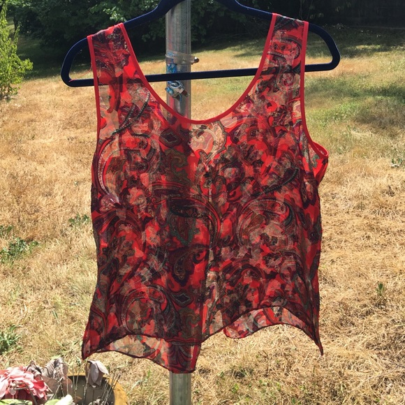 Sexy and gorgeous completely sheer top. - Picture 2 of 4