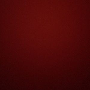 Meet your Posher, Bella