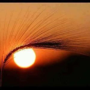 Meet your Posher, Kristi