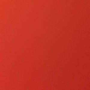 Meet your Posher, Carmen