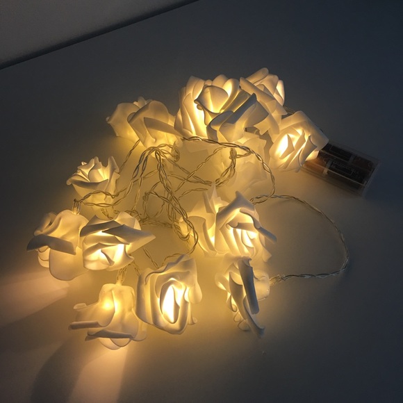 White Roses LED Lights