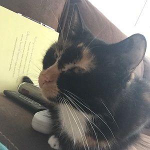 Meet your Posher, Patty