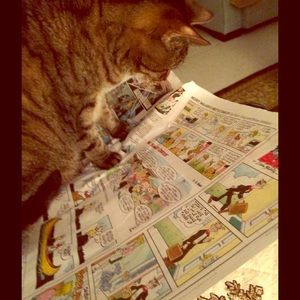 Great Deals aren't found in the funny papers...