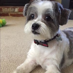 Meet your Posher, Cassandra