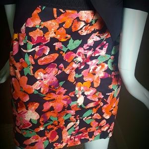 Ann Taylor Skirt