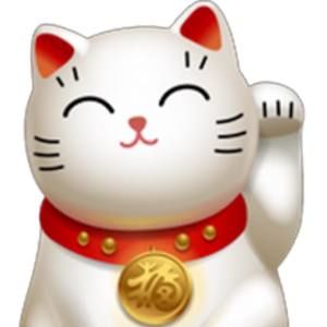 Meet your Posher, Suzo