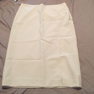 🚨 FINAL PRICE🚨Stretchy skirt great condition!