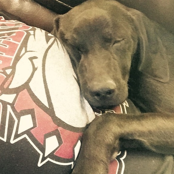 Meet your Posher, Kaytlyn