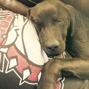 Meet your Posher, Kaytlyn