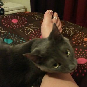 Meet your Posher, Diana