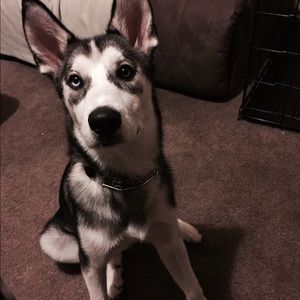 Meet your Posher, Carla