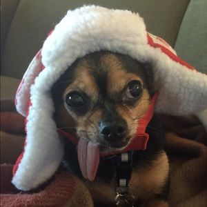 Meet your Posher, Ava