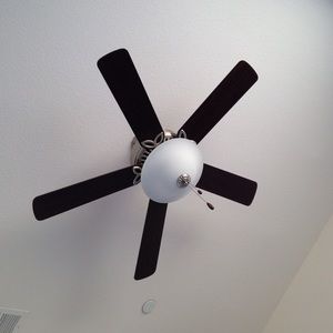 Meet your Posher, Waka