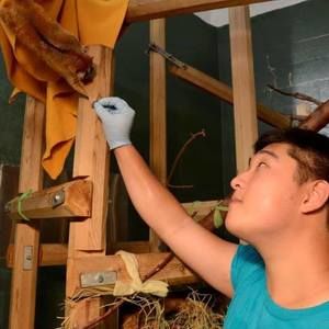 Meet your Posher, David