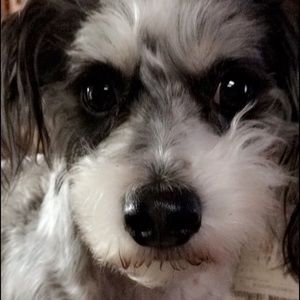 Meet your Posher, Haley