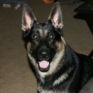 Meet your Posher, Stacie