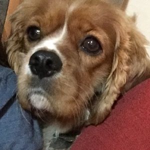 Meet your Posher, Jill