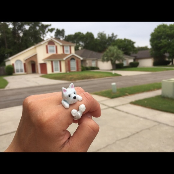 Adjustable Doggy Rings!