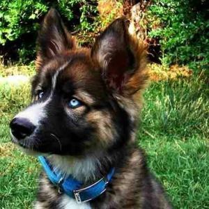 Meet your Posher, Matt