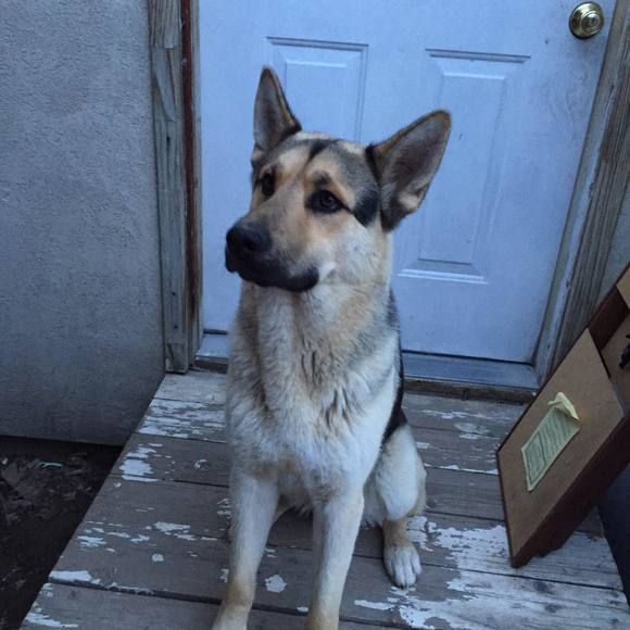 Meet your Posher, Krystal