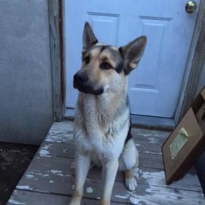 Meet your Posher, Krystal