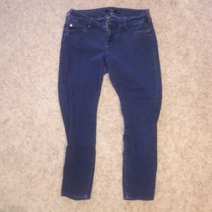 Torrid Jeans