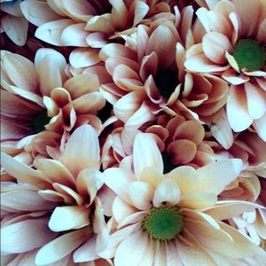 Meet your Posher, Alexandria