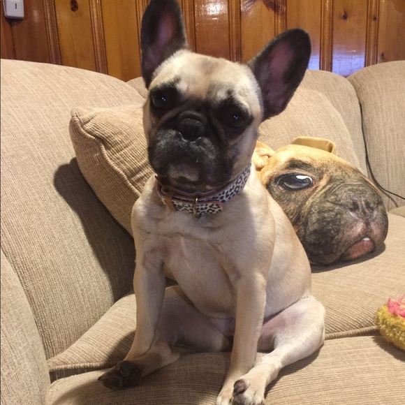 Meet your Posher, Sarah - Picture 3 of 5