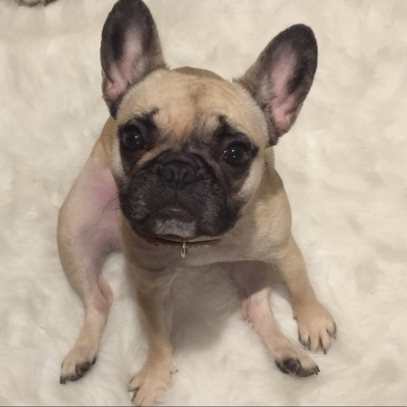 Meet your Posher, Sarah - Picture 5 of 5