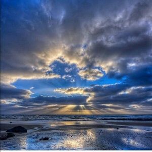 Meet your Posher, Nicky