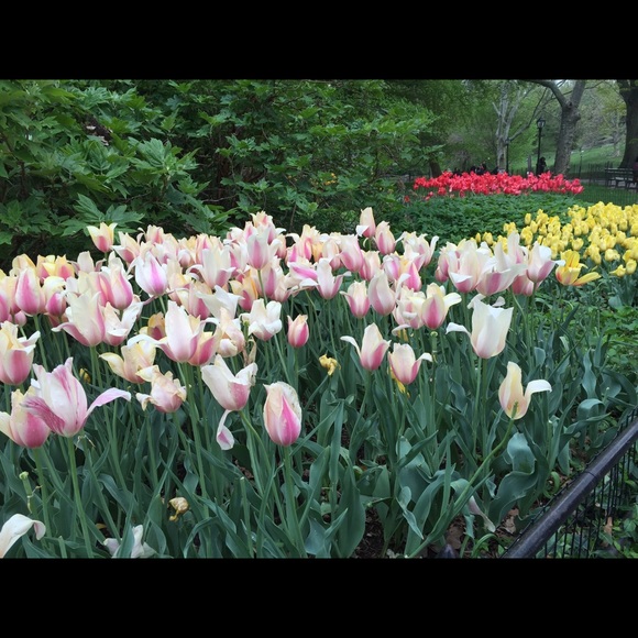 Meet your Posher, Sam