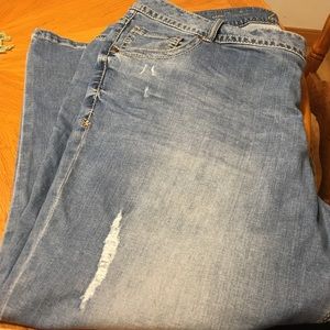 Lane Bryant Denim Distressed Capris
