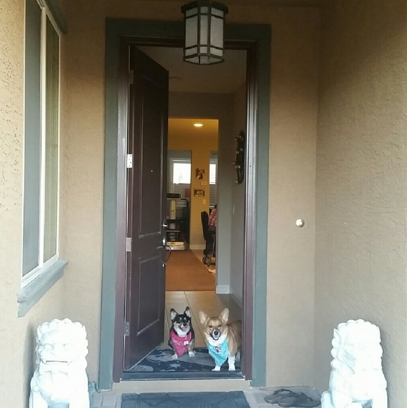 Hello! My name is Angelica! - Picture 3 of 5