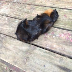 Meet your Posher, Caterinne