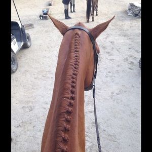 Meet your Posher, Emma