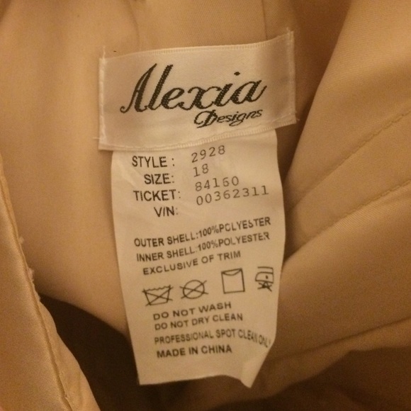 🍾Alexia champagne bridesmaid dress - Picture 4 of 4