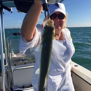 Meet your Posher, Donna