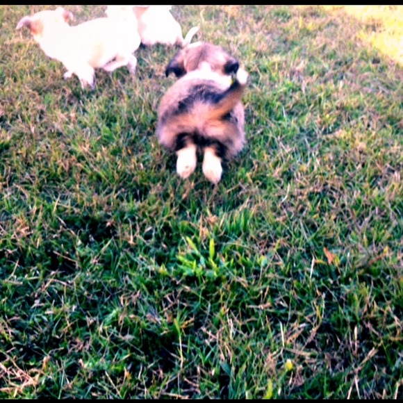 Meet your Posher, Vivian