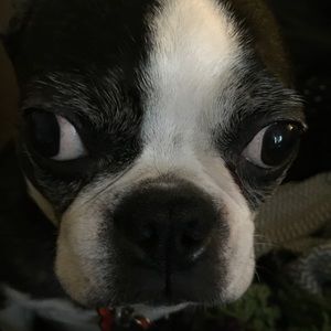 Meet your Posher, Amy