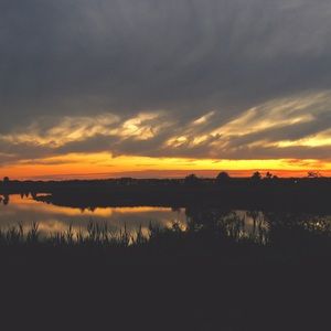 Meet your Posher, Gaby