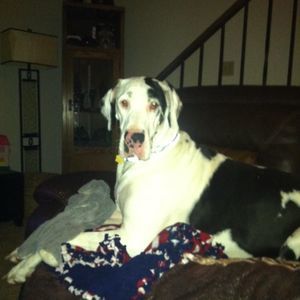 Meet your Posher, Carla