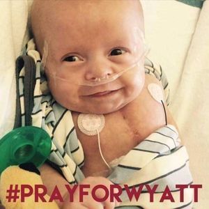 Meet your Posher, Pearl